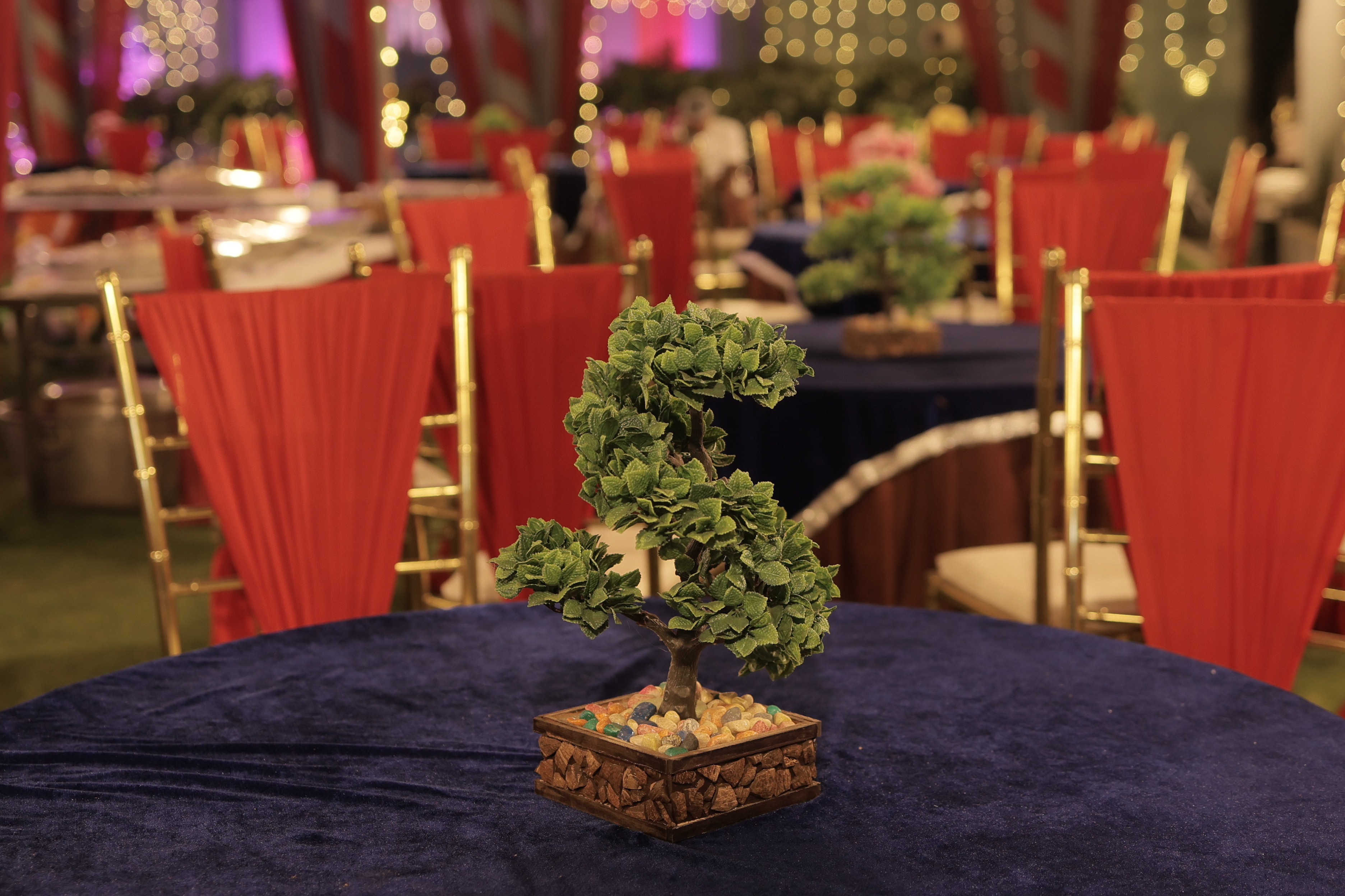 Soni Garden Photo 30